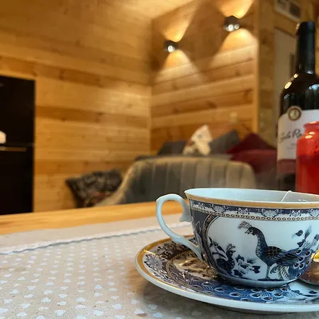 Gilowe Wzgorze Holiday home Ostrow Wielki